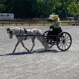 Meet your Posher, Amanda